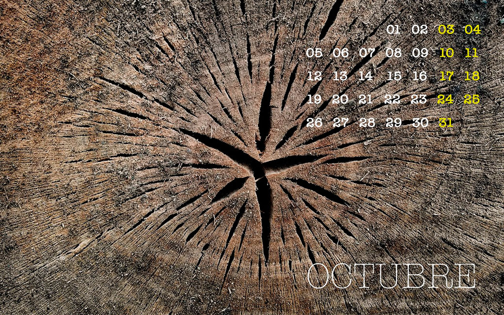 calendar_106