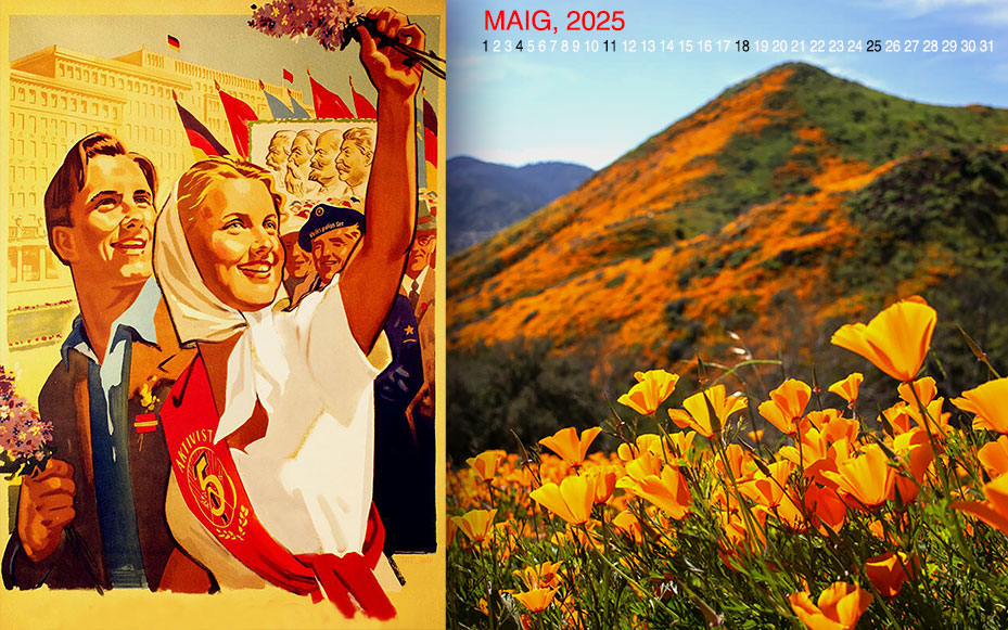 calendar_161